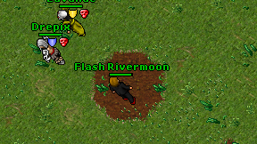 Flash Rivermoon on screen