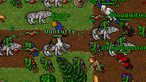 Dontuffy on screen