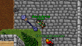 Asca Arco on screen