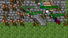Sir Arcadia on screen
