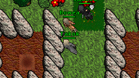 Takok on screen