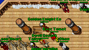 Golden Knight Ko on screen