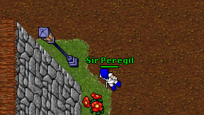 Sir Peregil on screen