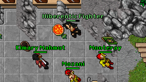 Hiberentic Fighter on screen