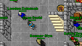 Gran Sushi on screen