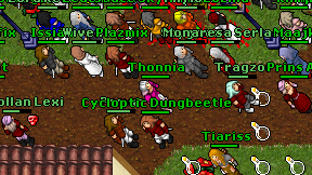 Thonnia on screen