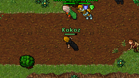 Kokoz on screen