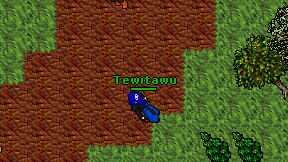 Tewitawu on screen