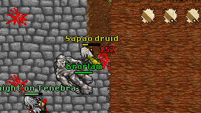 Sapao druid on screen