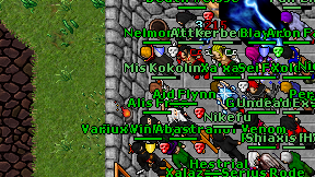 Mis Kokolino on screen