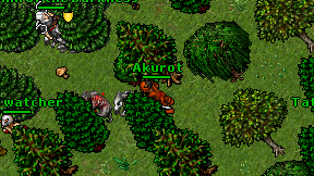 Akurot on screen