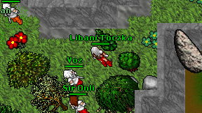 Libani Toczka on screen