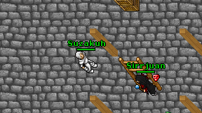 Suzakuh on screen