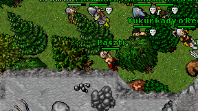 Paszti on screen