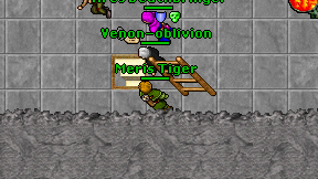 Meris Tiger on screen
