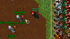 Jaloz on screen