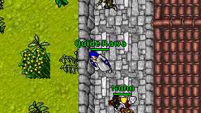 Quide Rawa on screen