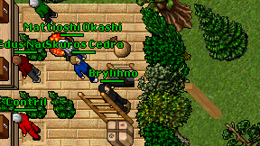 Brylihno on screen