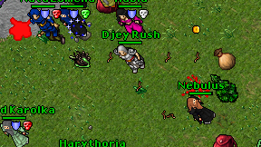 Djey Rush on screen