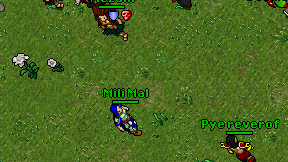 Mili Mal on screen