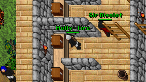 Holly-fire on screen