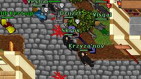 Skros on screen