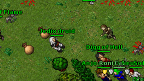 Jedix druid on screen