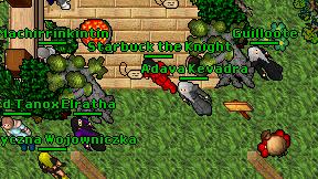 Starbuck the Knight on screen