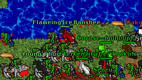 Flameing Ice Banshee on screen