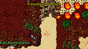 Paladino Humilde on screen