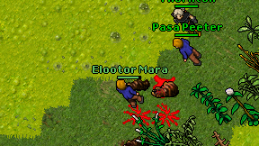 Elootor Mara on screen