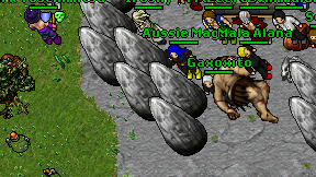 Gaxoxito on screen
