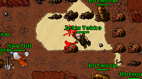 Jetix Yokko on screen