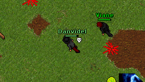 Danvidel on screen