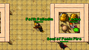 Fafik Palladin on screen
