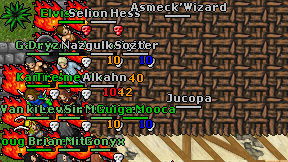 Asmeck'Wizard on screen