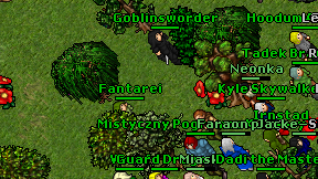 Fantarei on screen