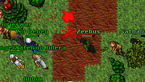 Zeebus on screen