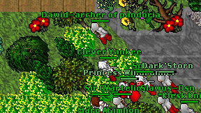 Clever Yankee on screen