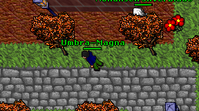 Umbra-Magna on screen