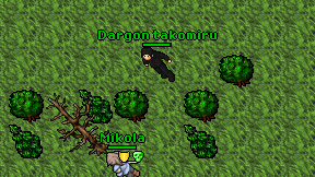 Dargon takomiru on screen