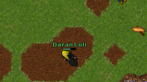 Daran Coli on screen