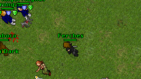 Ferches on screen