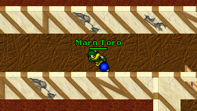 Marn Toro on screen