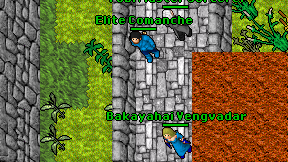 Elite Comanche on screen