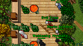Evil Trox on screen