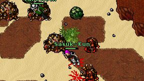 Sasuk-Kun on screen