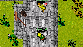 Tonul on screen