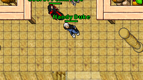 Handy Duke on screen