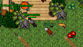 Gihijis on screen